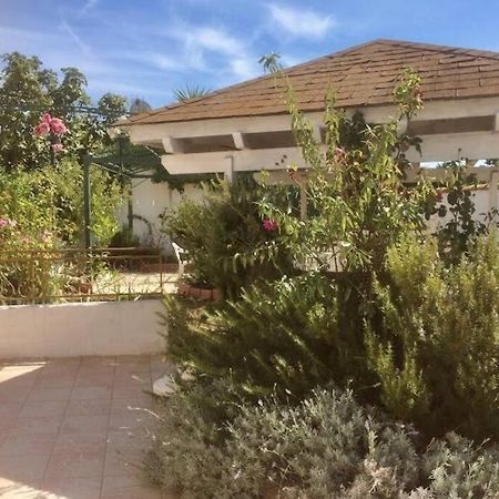 Superbe Appartement En Residence Avec Patio Вилньов-ле-Магелон Екстериор снимка