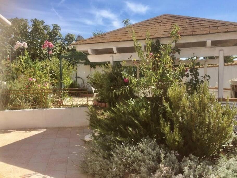 Superbe Appartement En Residence Avec Patio Вилньов-ле-Магелон Екстериор снимка